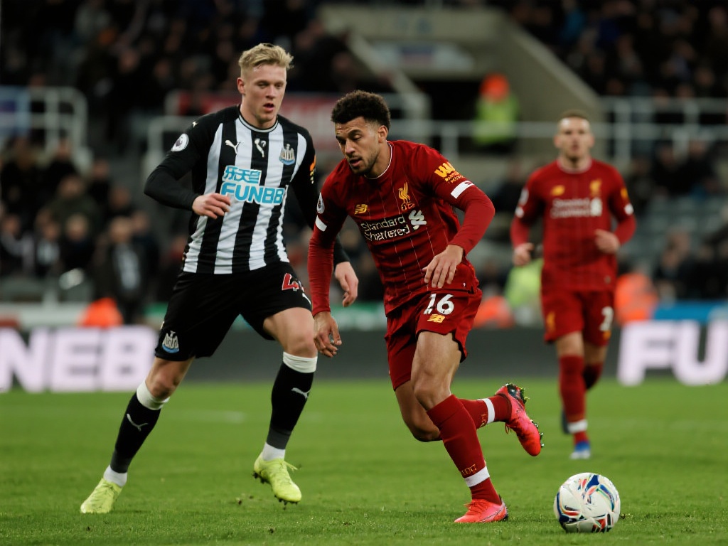 比的背景与 比的背景与